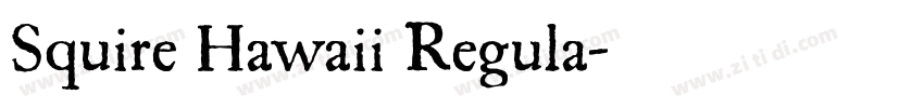 Squire Hawaii Regula字体转换